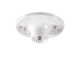 46049 KEYLESS LAMPHOLDER W/ 5